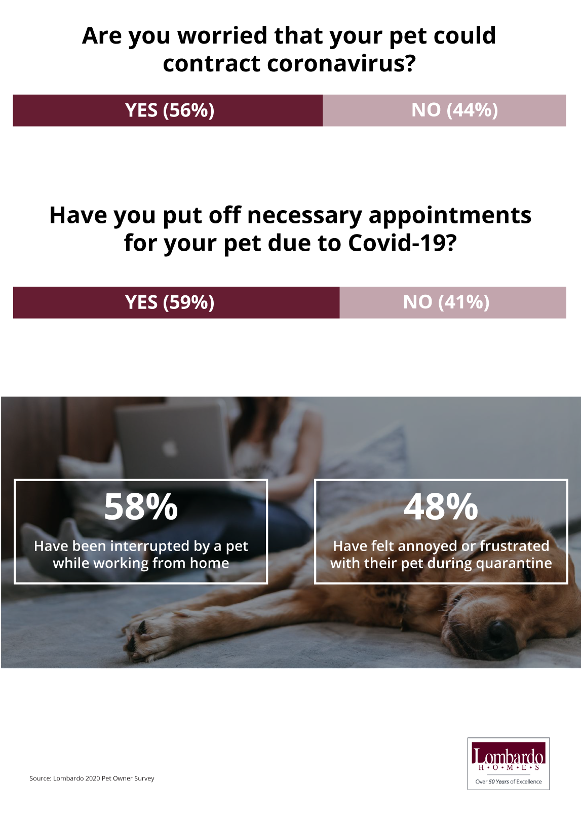 Which Cities Are Adopting the Most Pets During Covid19? Lombardo Homes