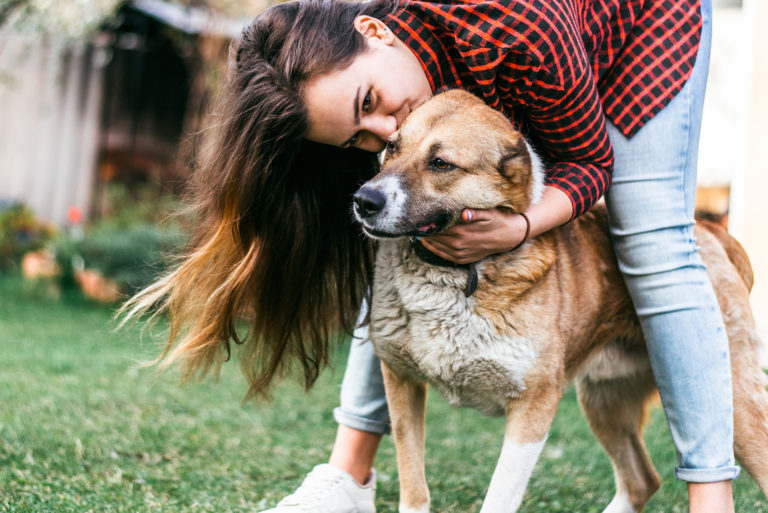 Which Cities Are Adopting the Most Pets During Covid19? Lombardo Homes